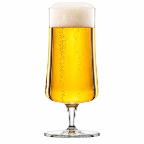 Beer Basic olutlasi 30 cl