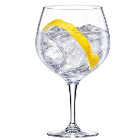 Gin & Tonic lasi 4 kpl