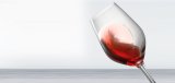 Spiegelau expert tasting viinilasi wine glass