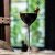 Cocktaillasi Bespoke Nick & Nora 15,5 cl