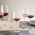 Schott Zwiesel Diva Burgundy punaviinilasi 48 cl 2 kpl