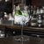Glencairn Gin lasi The Gin Goblet 39,8 cl
