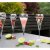 Open Up Samppanjalasi 21 cl kultareunuksella 4 kpl Chef & Sommelier