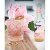 Swedish Tonic water persikka 20 cl 12 kpl