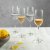 Tequila lasi Bar juomalasi Riedel 19 cl 4 kpl