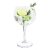 Vin Bouquet Gin & Tonic lasi 2 kpl