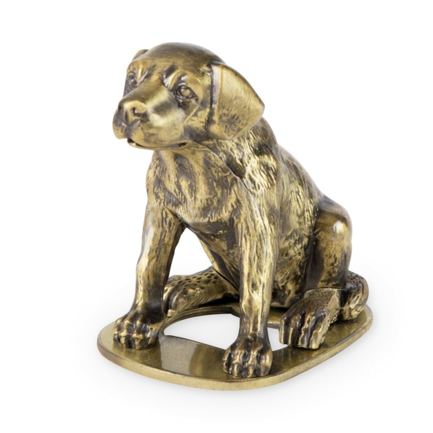 Kapselinavaaja Labrador