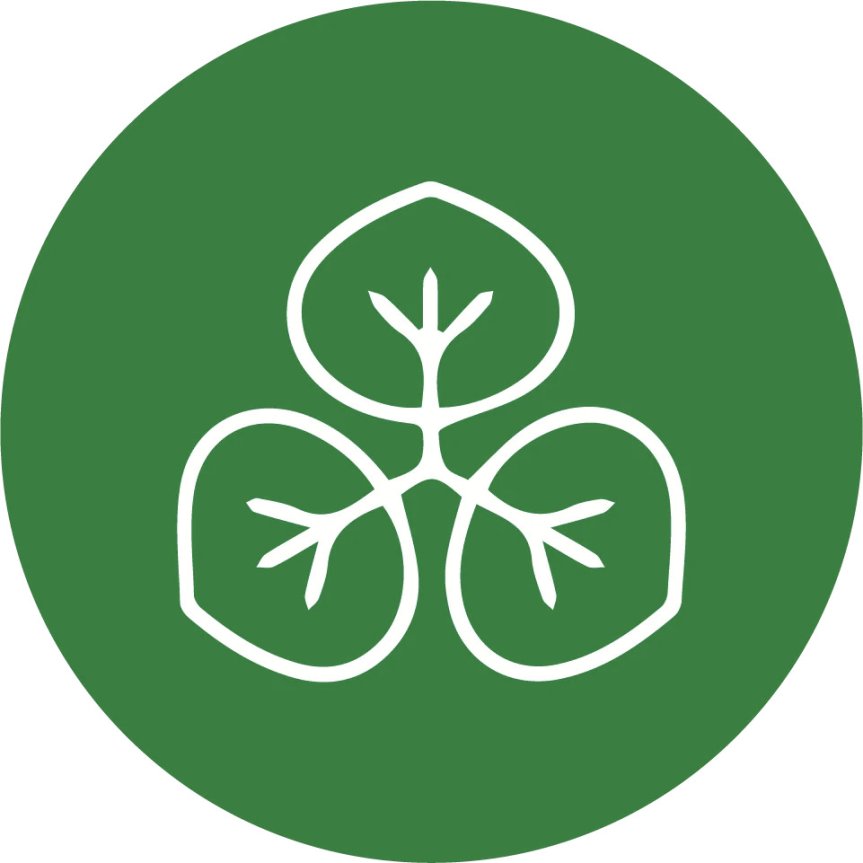 Mustat pillit biomuovia 15 cm 50 kpl