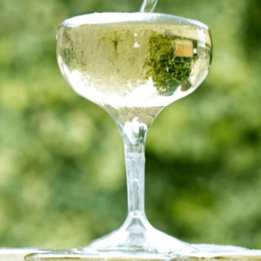 Tinto samppanjalasi coupe muovia 25,5 cl